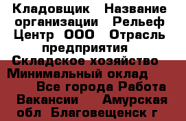 Кладовщик › Название организации ­ Рельеф-Центр, ООО › Отрасль предприятия ­ Складское хозяйство › Минимальный оклад ­ 28 000 - Все города Работа » Вакансии   . Амурская обл.,Благовещенск г.